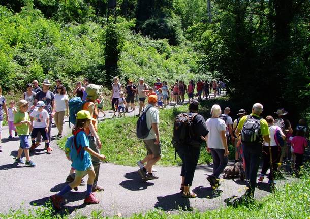 Alle cascate di Ferrera