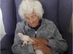 Tanti auguri “Nonnina”