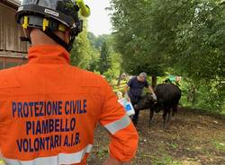 La grande esercitazione civile per salvare gli animali