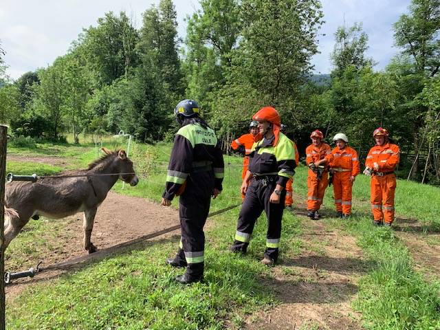 La grande esercitazione civile per salvare gli animali