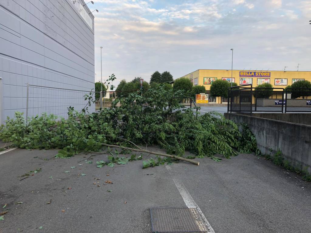 Caricamento temporaneo per contributo 1561099195pkxqv1f9tzz3f5q9