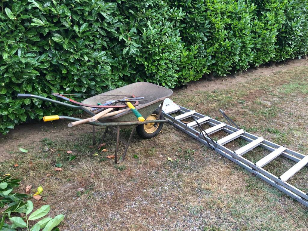 Caricamento temporaneo per contributo 1561099195pkxqv1f9tzz3f5q9