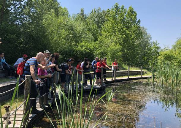 COLORI SULL\'ACQUA: ESCURSIONE GUIDATA TRA LIBELLULE, NINFEE E BIRDWATCHING