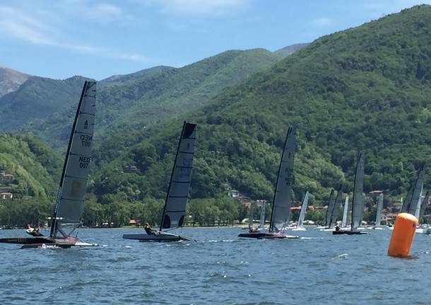 Vela e canottaggio sul Lago Maggiore