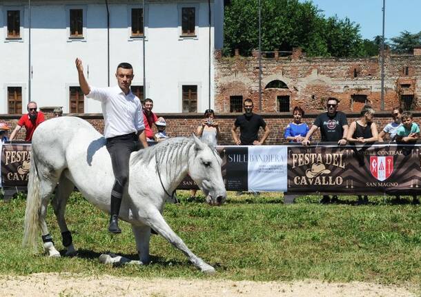 Contrada S.Magno: Festa del cavallo – a cura di Luigi Frigo