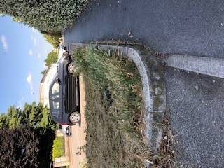 IMG 3125 foto 3