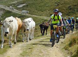 In bici in Valsesia