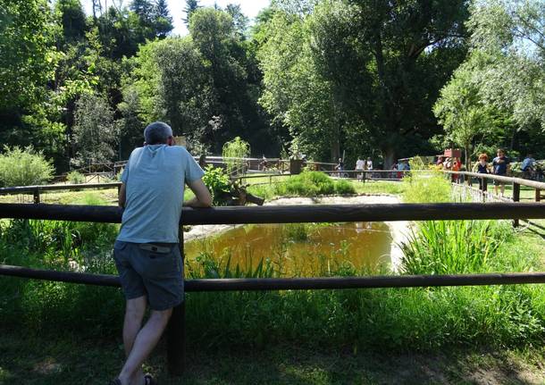 In migliaia lungo l'Olona per Girinvalle