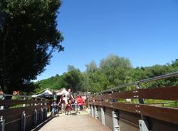 In migliaia lungo l'Olona per Girinvalle