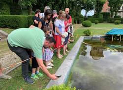 Lezione sugli anfibi a Villa Toeplitz