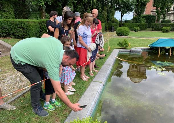 Lezione sugli anfibi a Villa Toeplitz