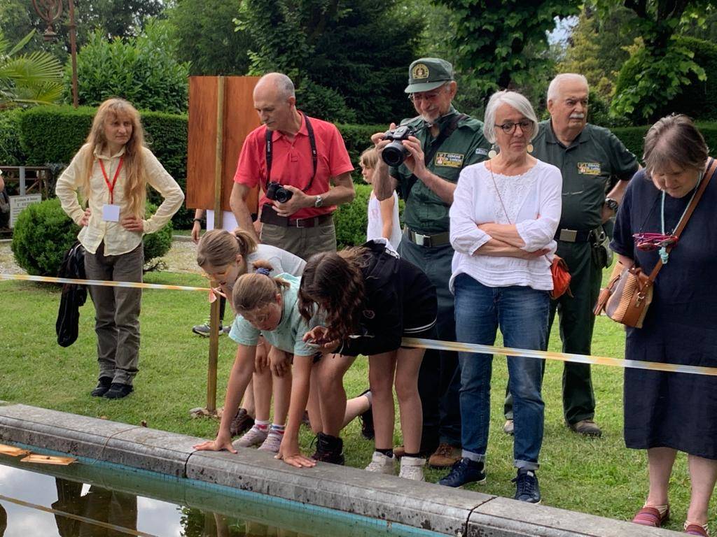 Lezione sugli anfibi a Villa Toeplitz