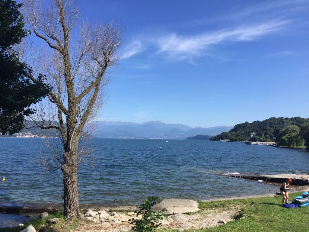 Mangia bevi bici 2019