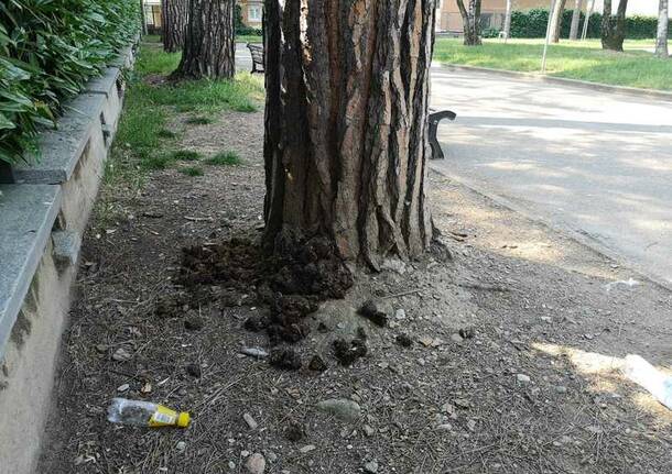 Degrado al parchetto delle scuole Mazzini di Legnano