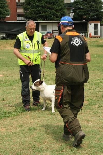 unit  cinofila nerviano esami nuovi cani  17 