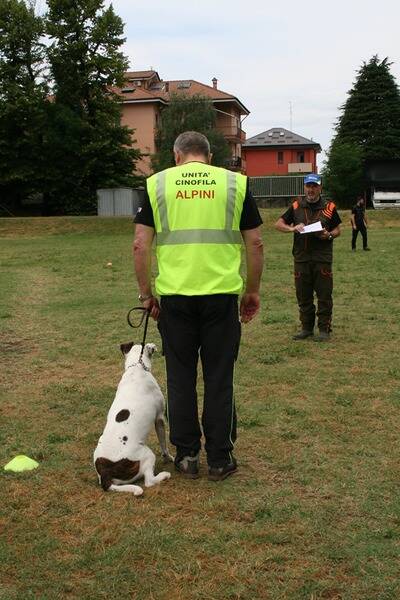 unit  cinofila nerviano esami nuovi cani  20 