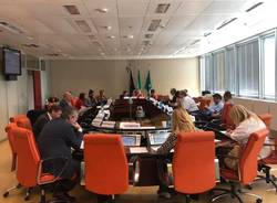 audizione in commissione sanità regione lombardia