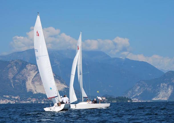 barca a vela lago maggiore