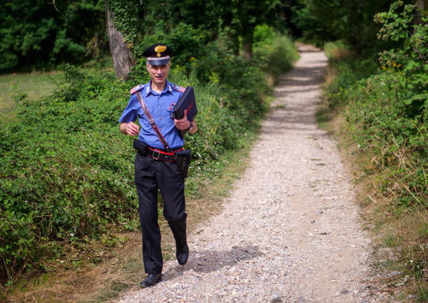 Incidente nel bosco