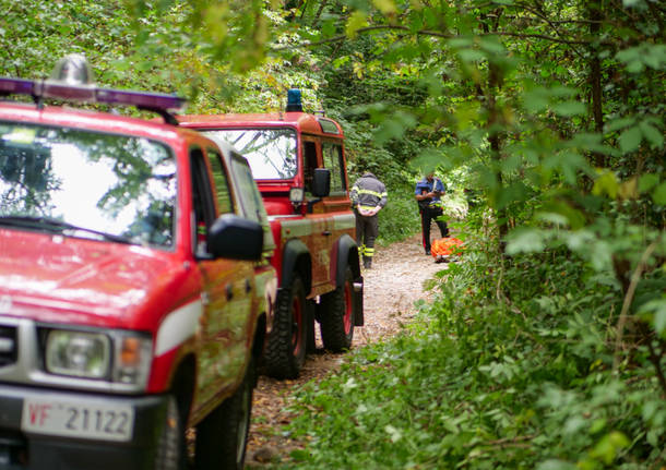 Cade in moto nel bosco, muore un uomo