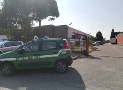 carabinieri forestali