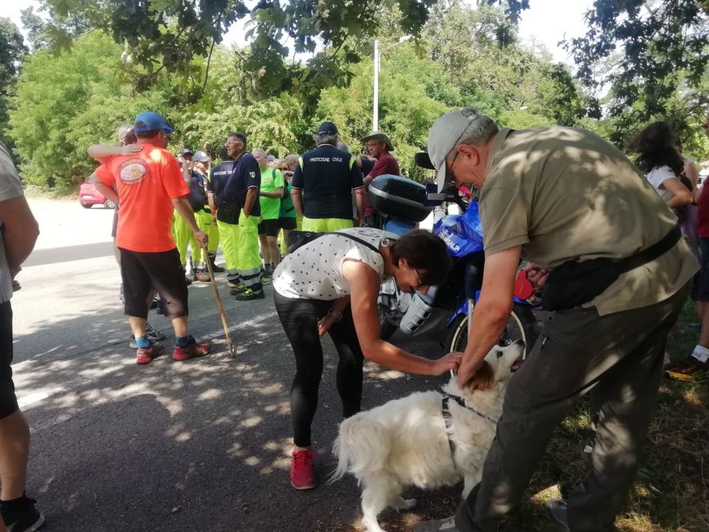 “Riprendiamoci i boschi della droga“