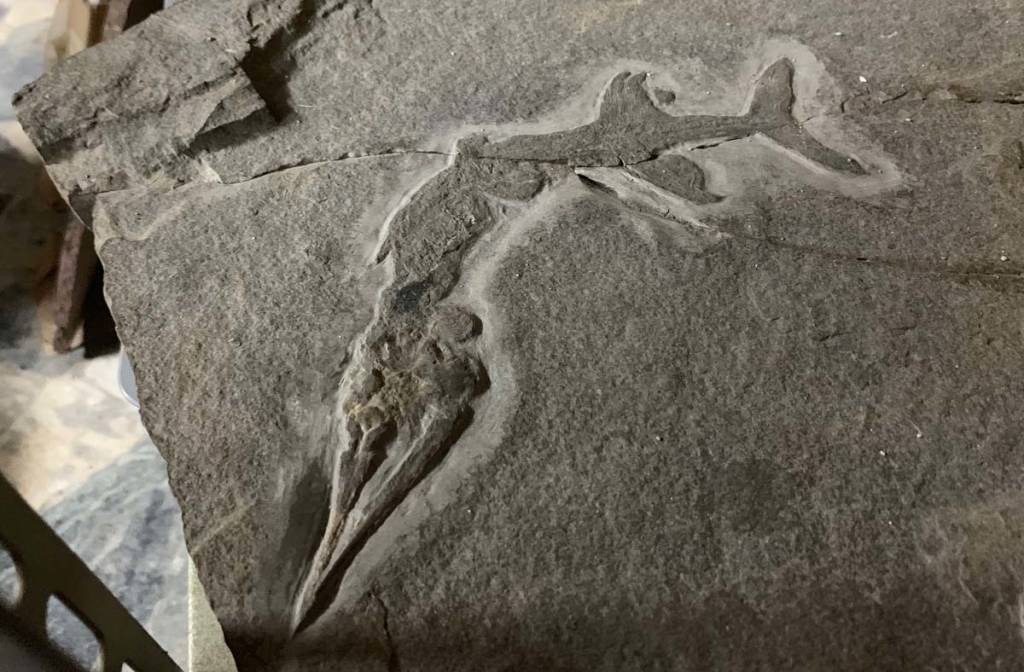 Clivio - Varese 4U Archeo - Centro visite e museo