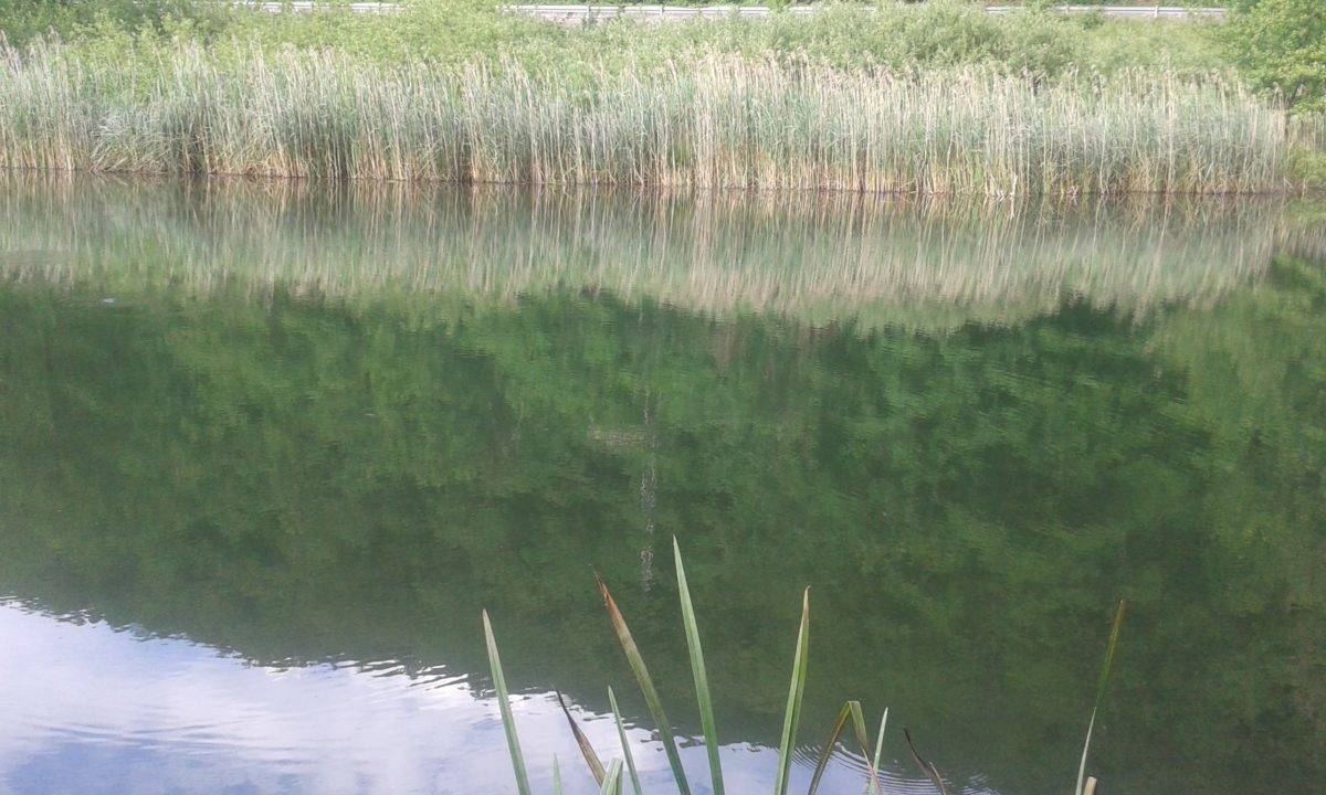 da brinzio a villaggio cagnola