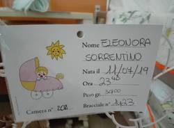 Benvenuta Eleonora!