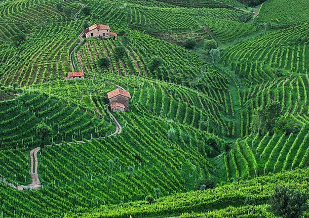 cantine prosecco