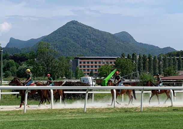 Ippica presentazione stagione estiva galoppo ippodromo le bettole 2019 