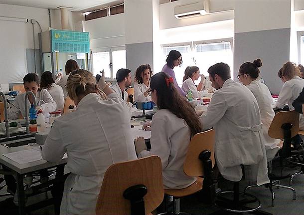 laboratori 