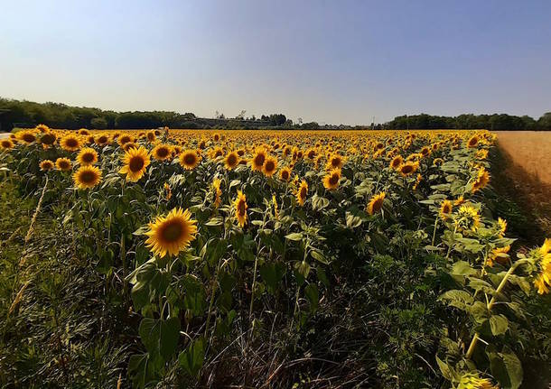 luglio 2019