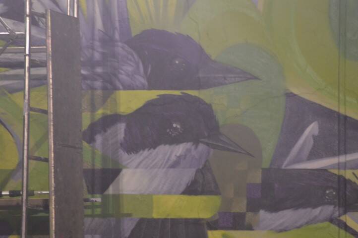 Nervi a pezzi nerviano street art alla ex meccaninca murales graffiti arte  16 