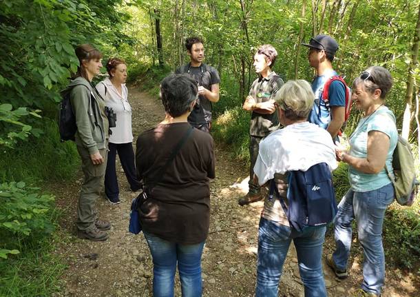 Parco Pineta - Guardie ecologiche volontarie