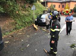 Abete colpito da un fulmine a Musadino