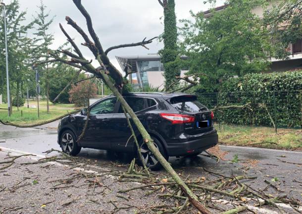 Alberi caduti, due auto colpite a Busto Arsizio