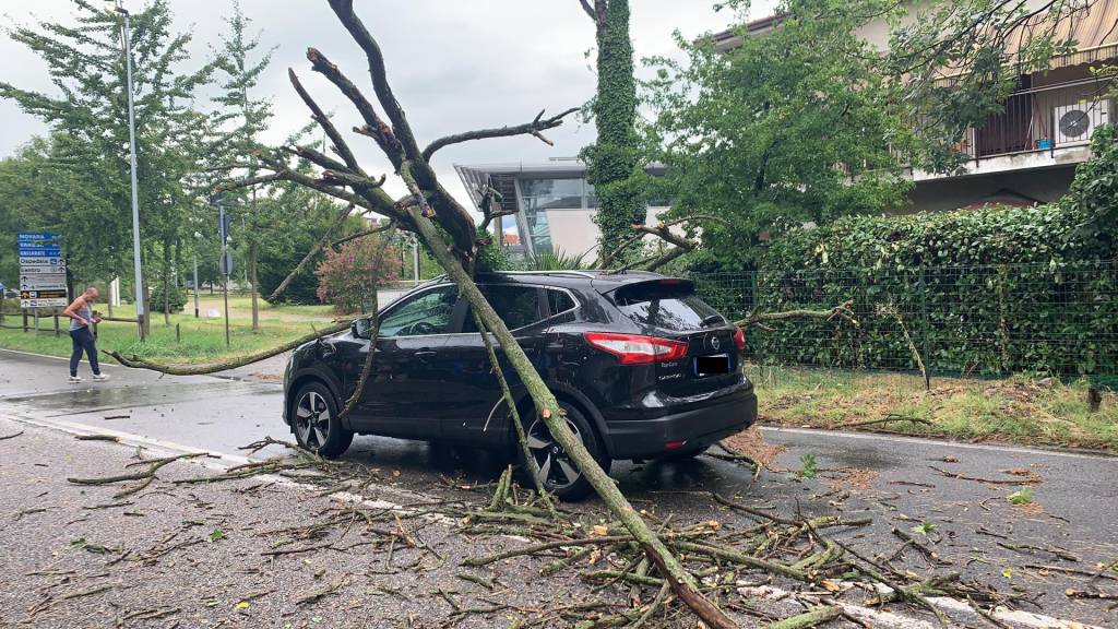 Alberi caduti, due auto colpite a Busto Arsizio