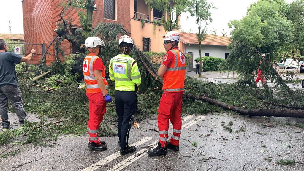 Alberi caduti, due auto colpite a Busto Arsizio