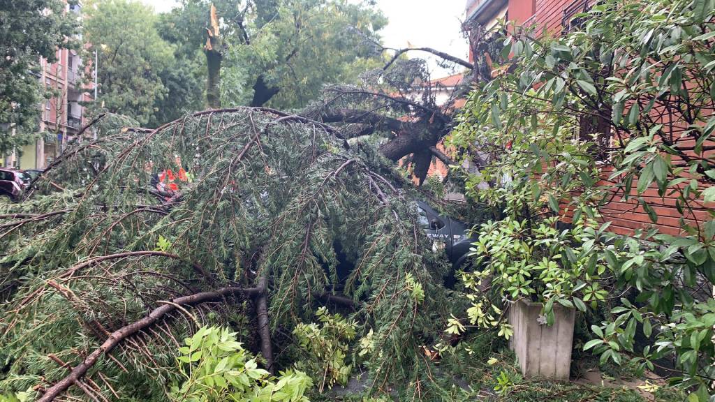 Alberi caduti, due auto colpite a Busto Arsizio