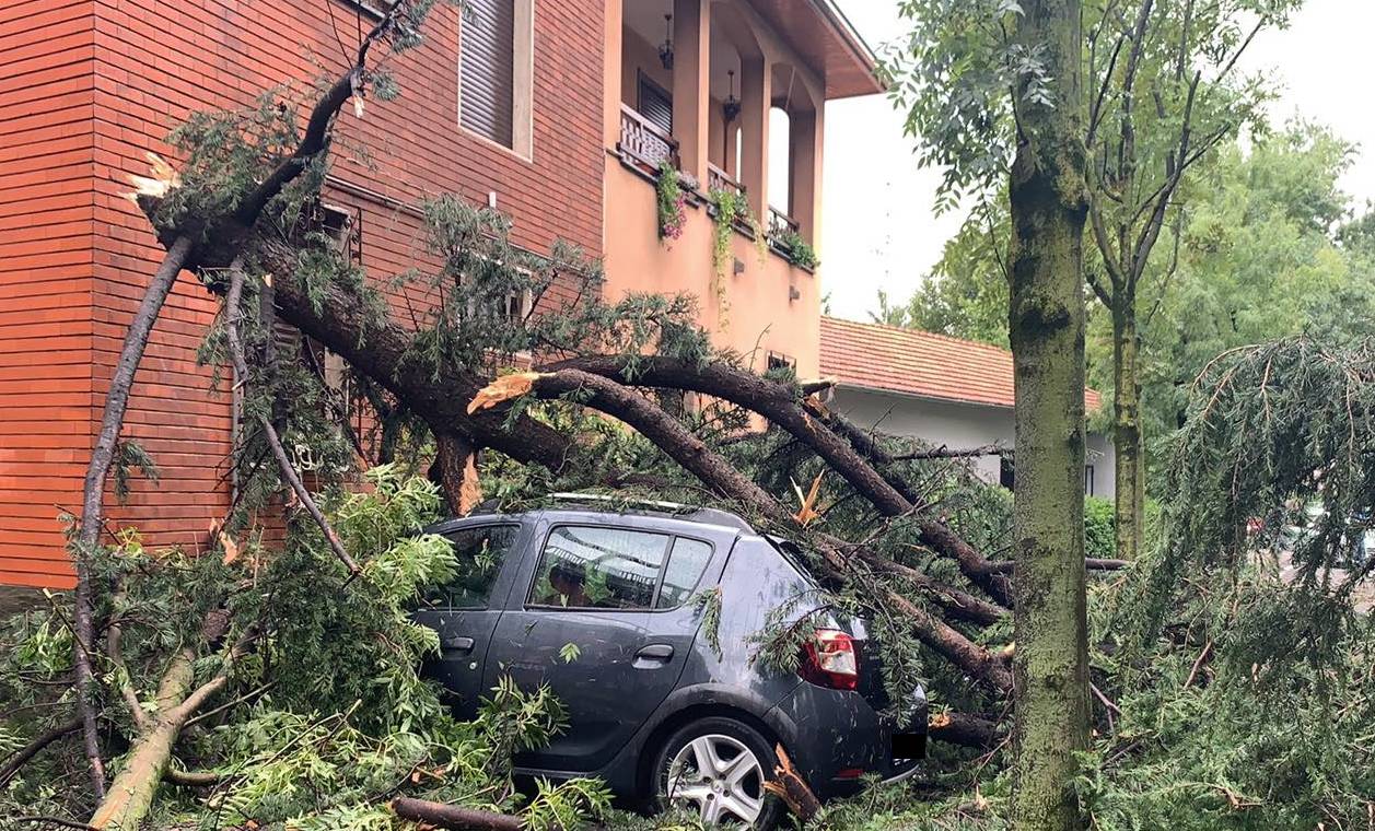 Alberi caduti, due auto colpite a Busto Arsizio