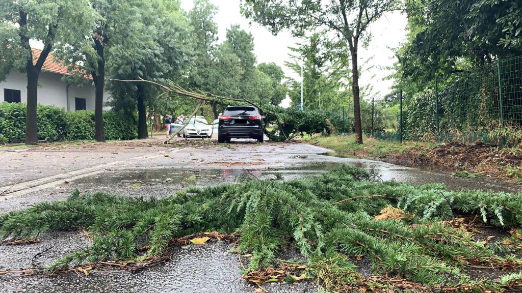 Alberi caduti, due auto colpite a Busto Arsizio