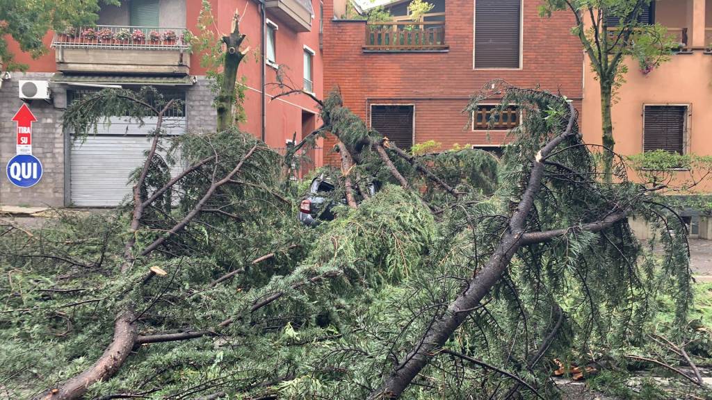 Alberi caduti, due auto colpite a Busto Arsizio
