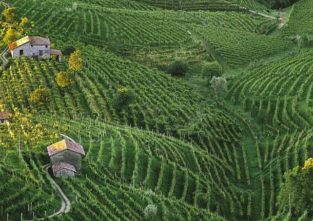 anello del prosecco di Valdobbiadene