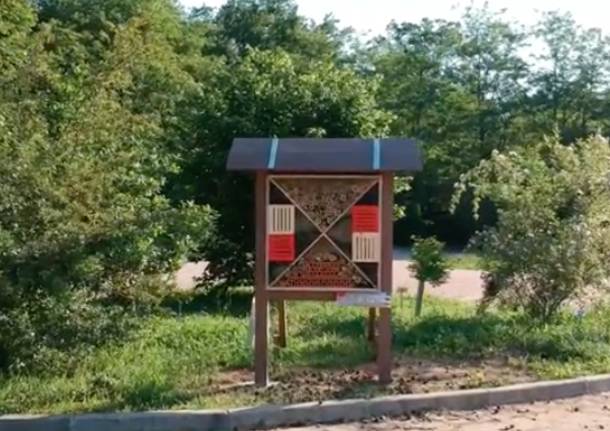 Bug Hotel