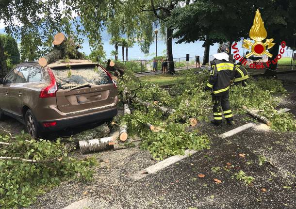 Maltempo nel Luinese, l\'intervento dei vigili del fuoco