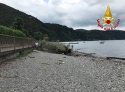 Maltempo nel Luinese, l\'intervento dei vigili del fuoco