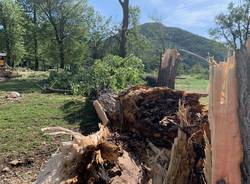 Maccagno il giorno dopo, parco devastato