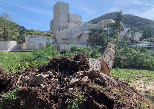 Maccagno il giorno dopo, parco devastato