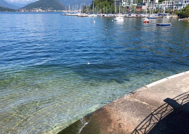 lago maggiore livello